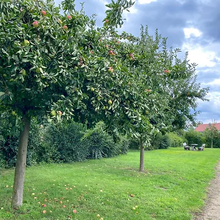 Feriehus Wiesengefluester E7 Mit Sauna, Kamin, Garten Und Mueritznaehe *