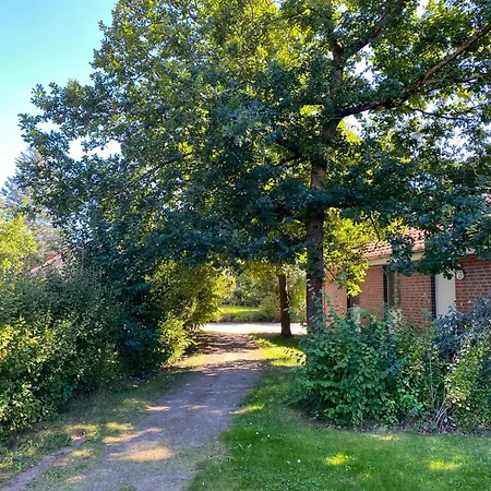 Feriehus Wiesengefluester E7 Mit Sauna, Kamin, Garten Und Mueritznaehe Röbel