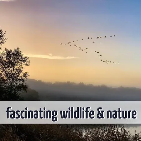 Wiesengefluester E7 Mit Sauna, Kamin, Garten Und Mueritznaehe *